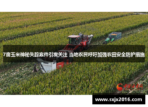 7亩玉米神秘失踪案件引发关注 当地农民呼吁加强农田安全防护措施