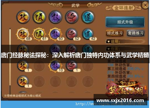 唐门经脉秘法探秘：深入解析唐门独特内功体系与武学精髓